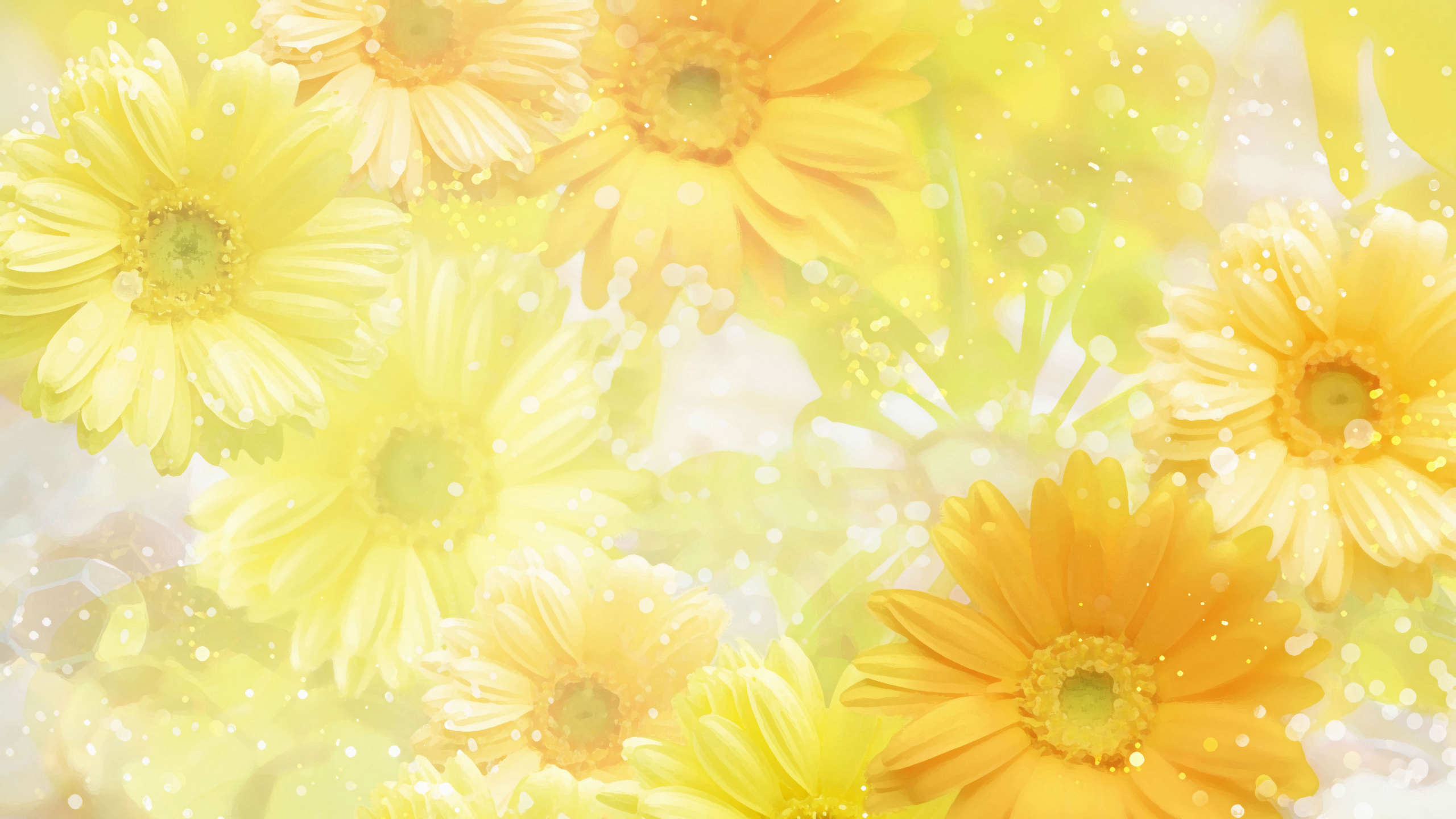 Обои желтый, цветок, лепесток, гербера, цветковое растение в разрешении 2560x1440