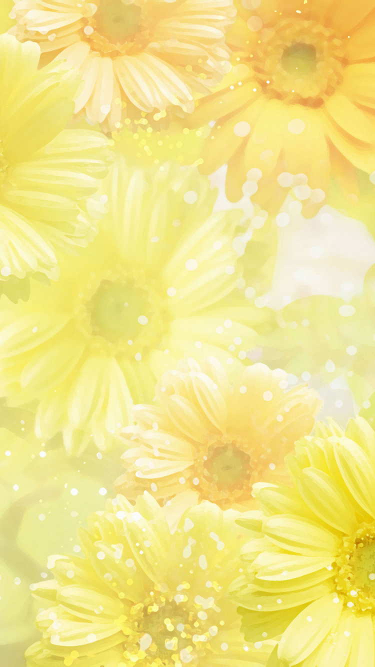 Обои желтый, цветок, лепесток, гербера, цветковое растение в разрешении 750x1334