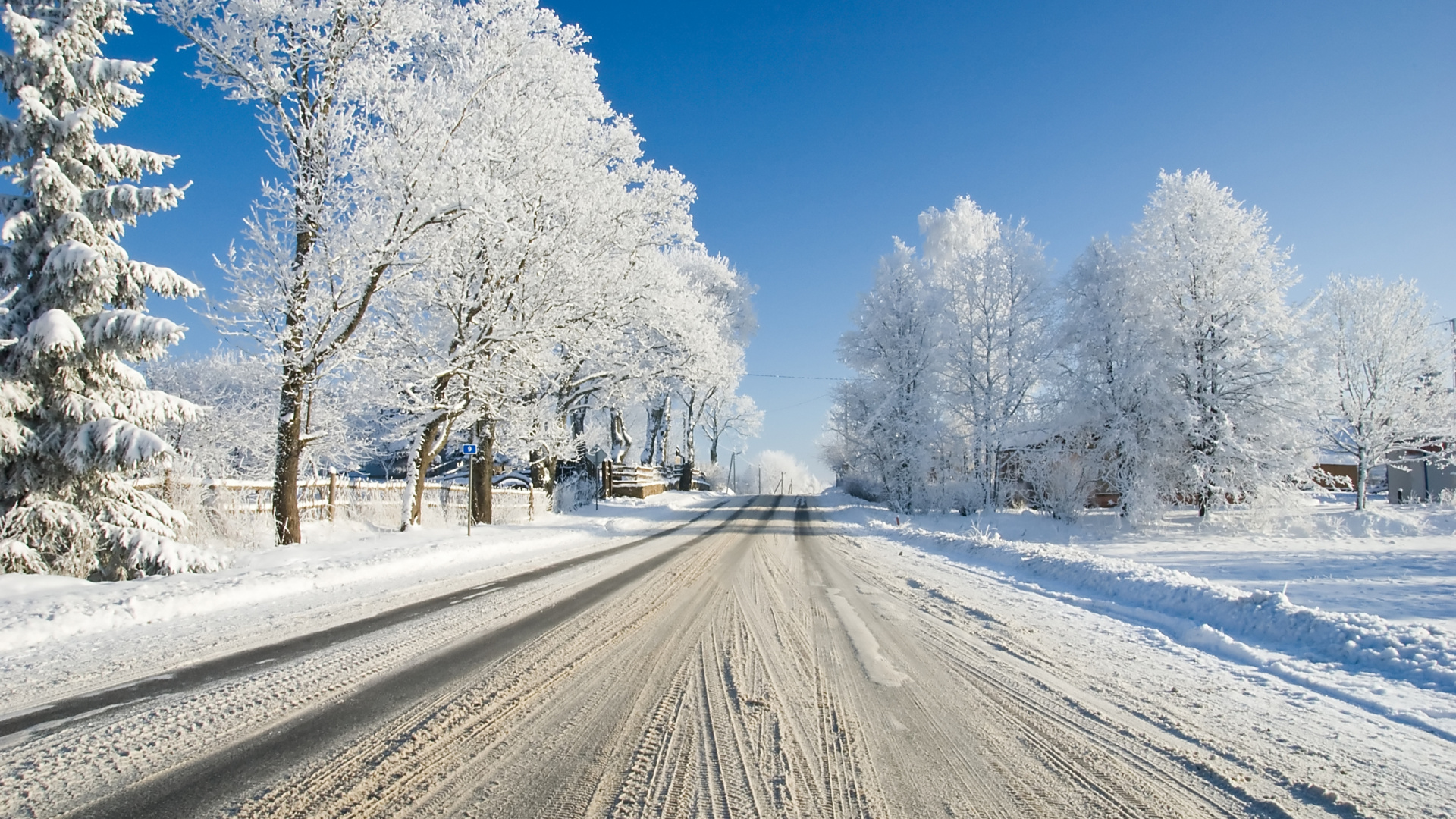 Обои зима, снег, дерево, замораживание, мороз в разрешении 1920x1080