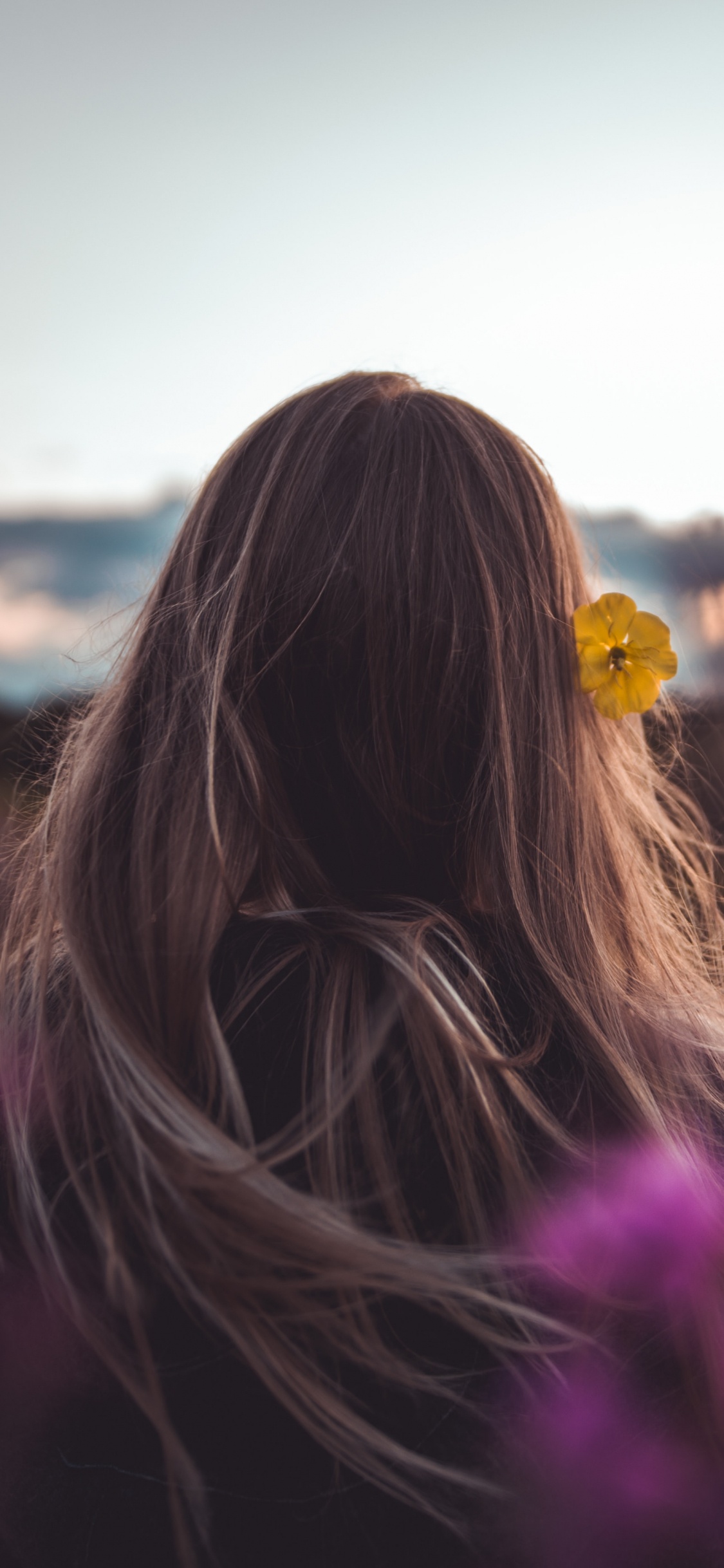 Обои волосы, пурпур, красота, розовый, свет в разрешении 1125x2436