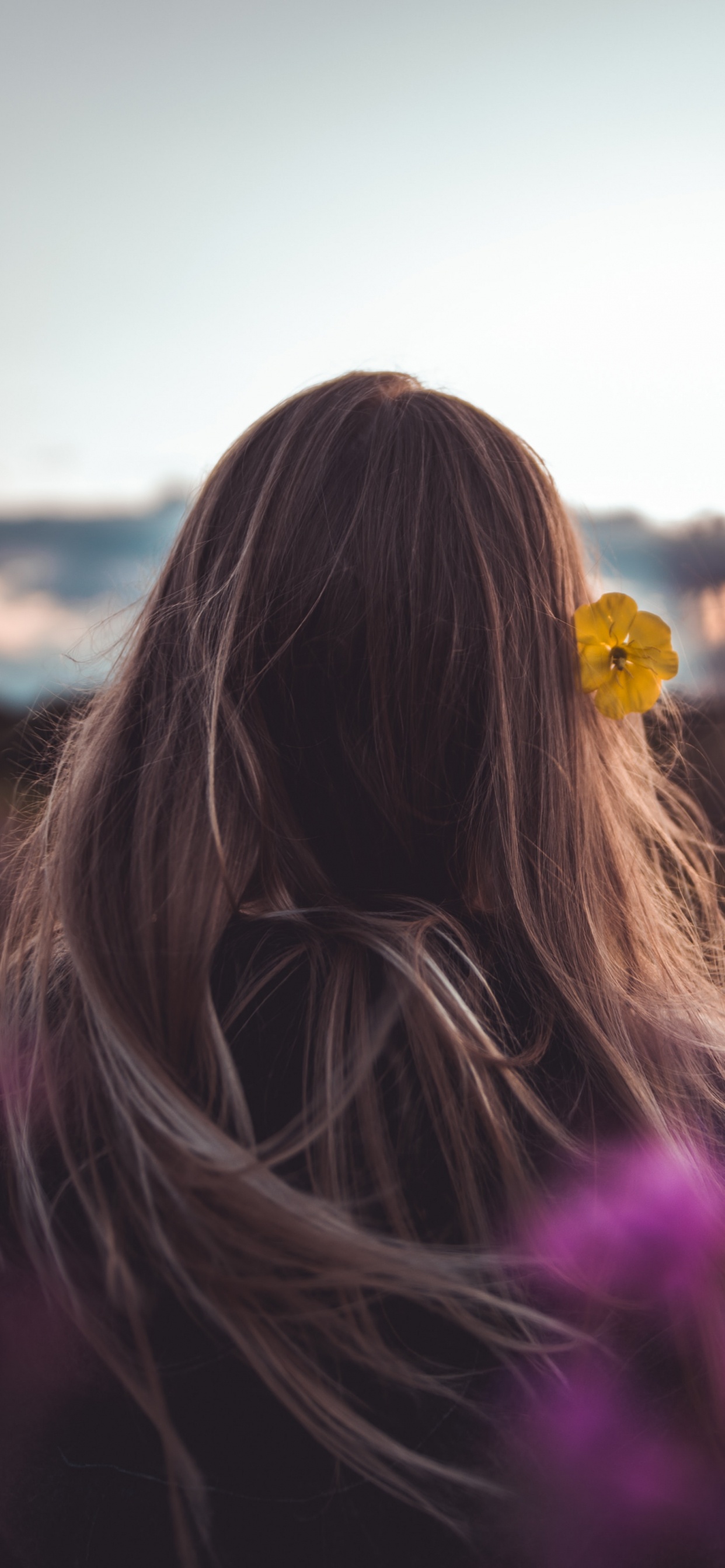 Обои волосы, пурпур, красота, розовый, свет в разрешении 1242x2688