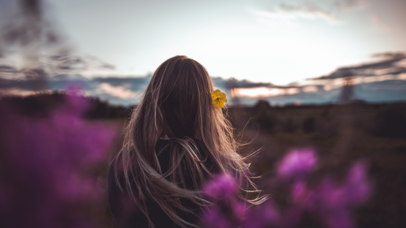 Обои волосы, пурпур, красота, розовый, свет в разрешении 1366x768