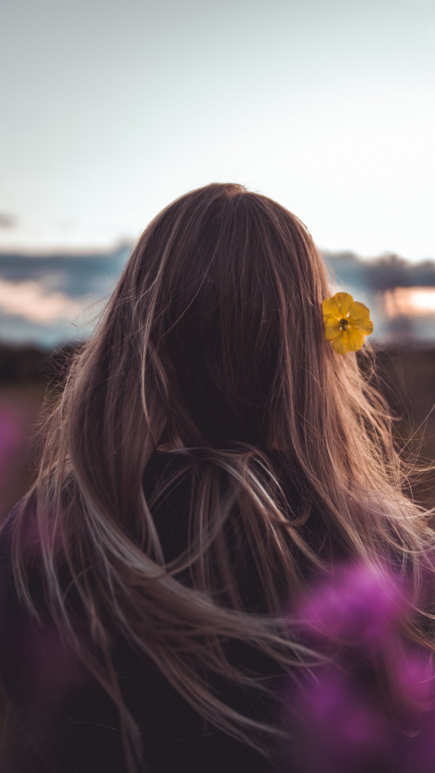 Обои волосы, пурпур, красота, розовый, свет в разрешении 1440x2560