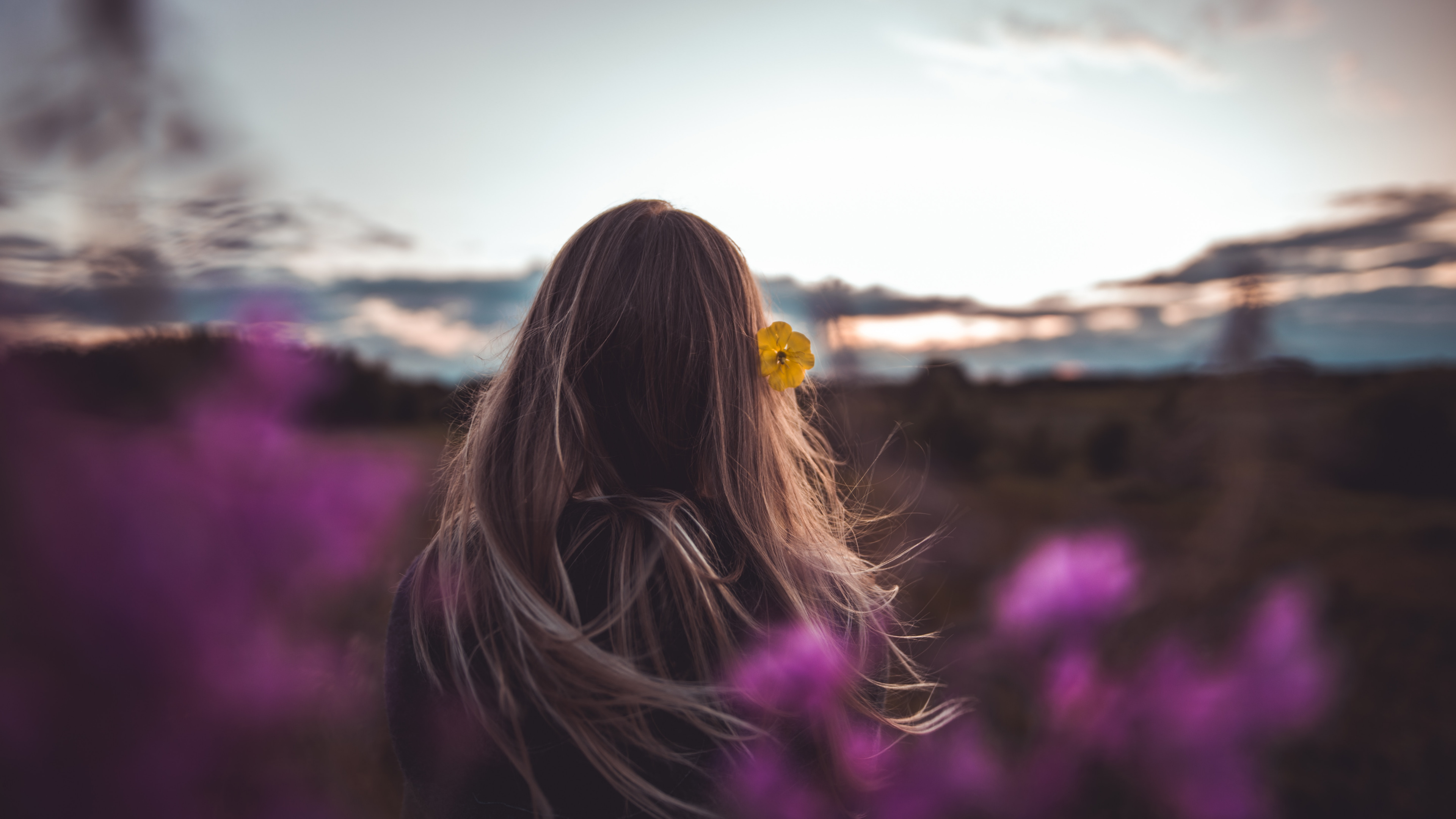 Обои волосы, пурпур, красота, розовый, свет в разрешении 3840x2160