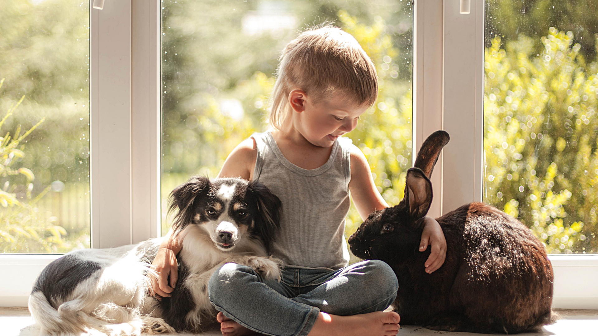 Обои кролик, пес, собака породы, ребенок, собака компаньон в разрешении 1920x1080