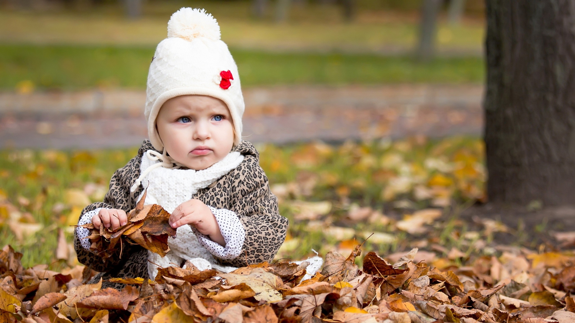 Обои младенец, ребенок, осень, дерево, девушка в разрешении 1920x1080