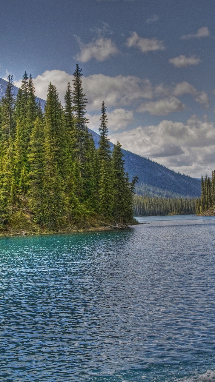 Обои природа, природный заповедник, вода, дикая местность, озеро в разрешении 720x1280