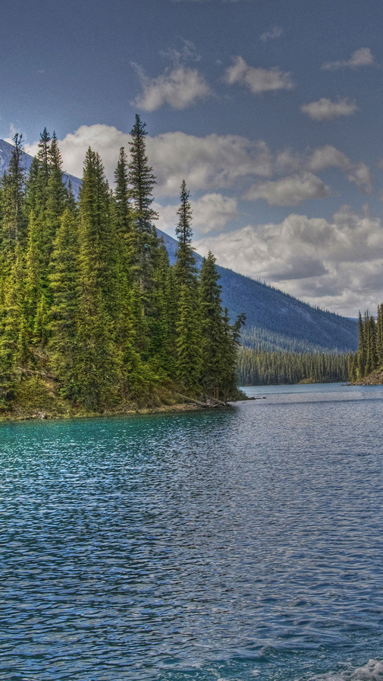 Обои природа, природный заповедник, вода, дикая местность, озеро в разрешении 750x1334