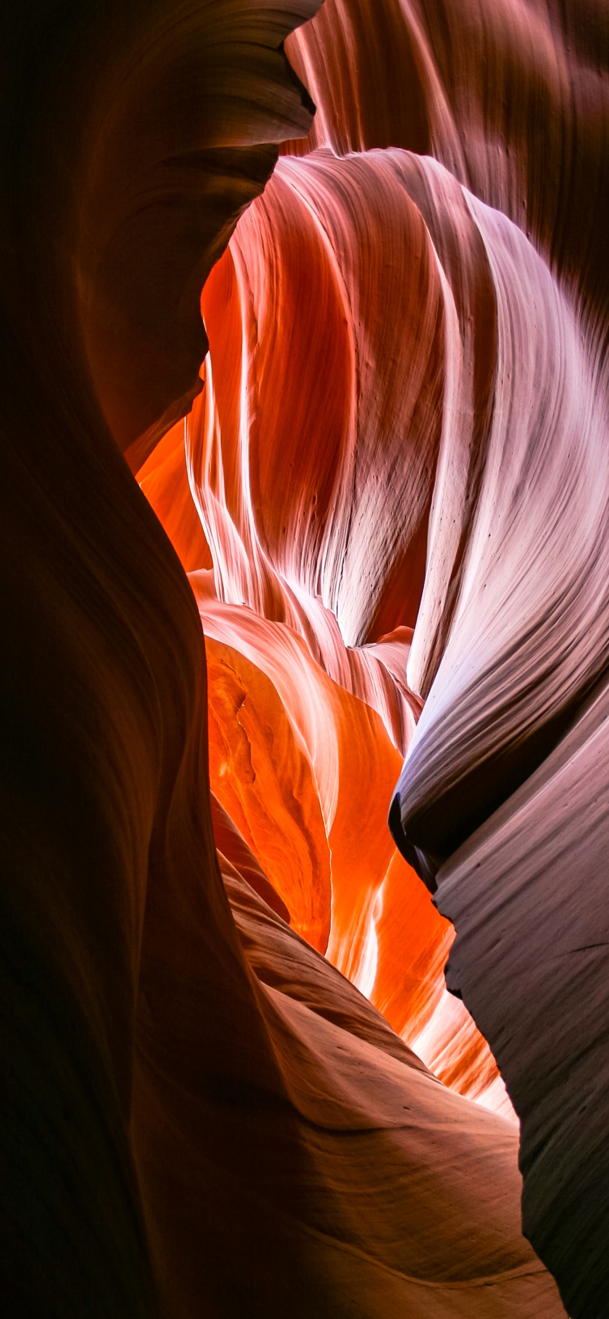 Обои физика, наука, Апельсин, природный ландшафт, лепесток в разрешении 1242x2688