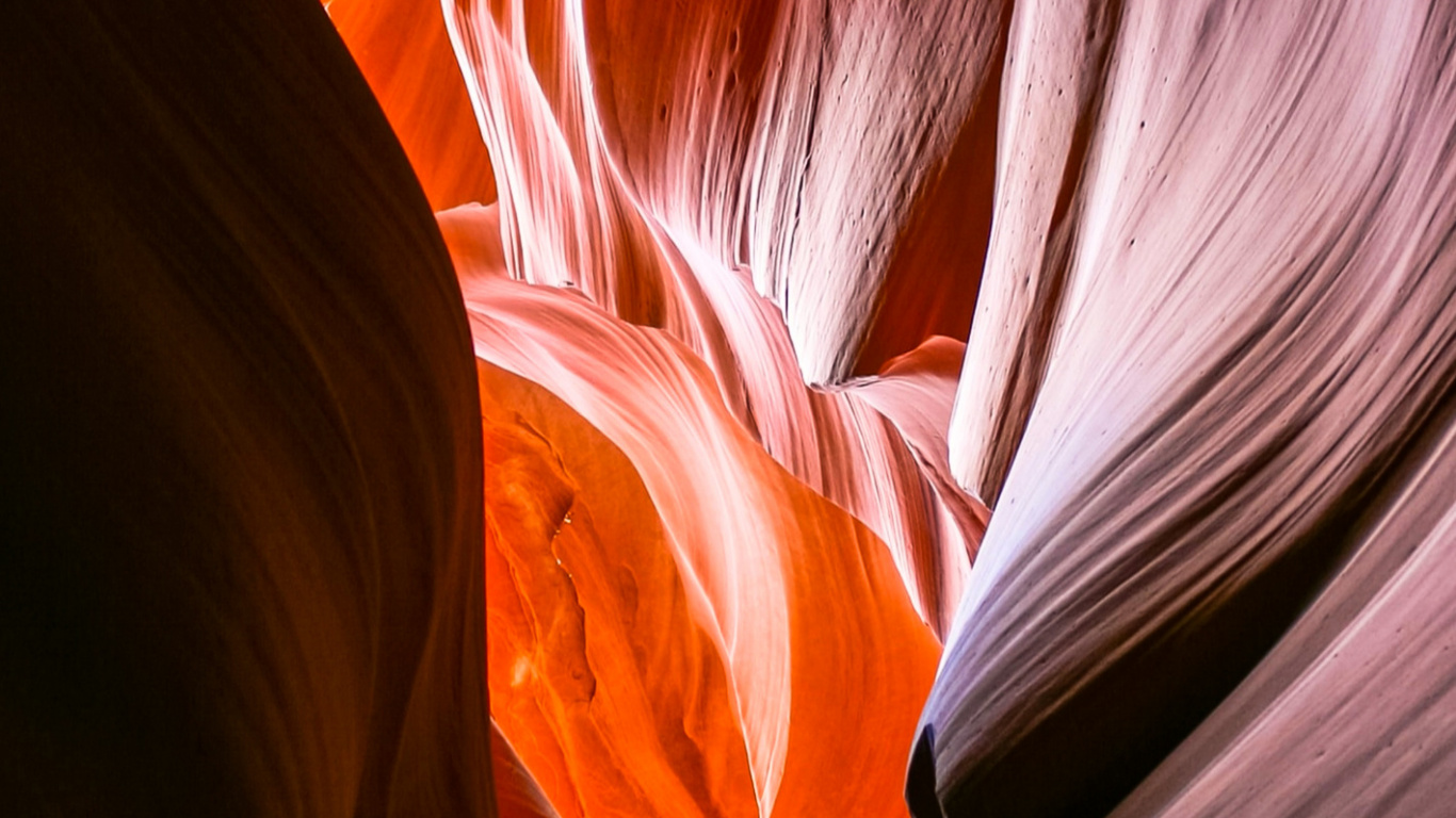 Обои физика, наука, Апельсин, природный ландшафт, лепесток в разрешении 1366x768