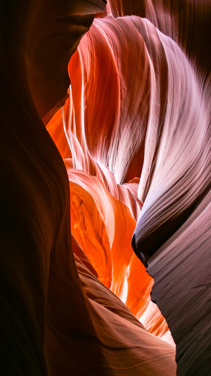 Обои физика, наука, Апельсин, природный ландшафт, лепесток в разрешении 720x1280