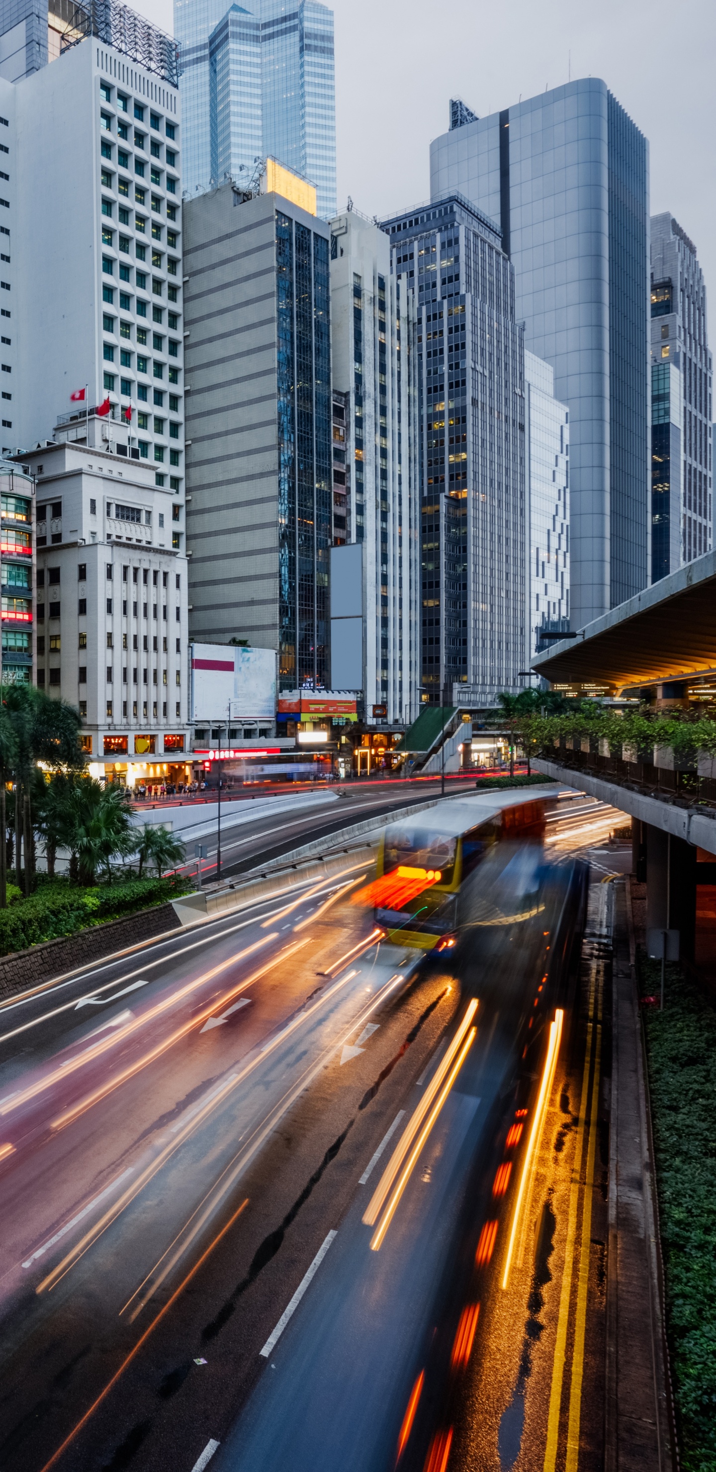 Обои городской район, метрополия, город, городской пейзаж, транспорт в разрешении 1440x2960
