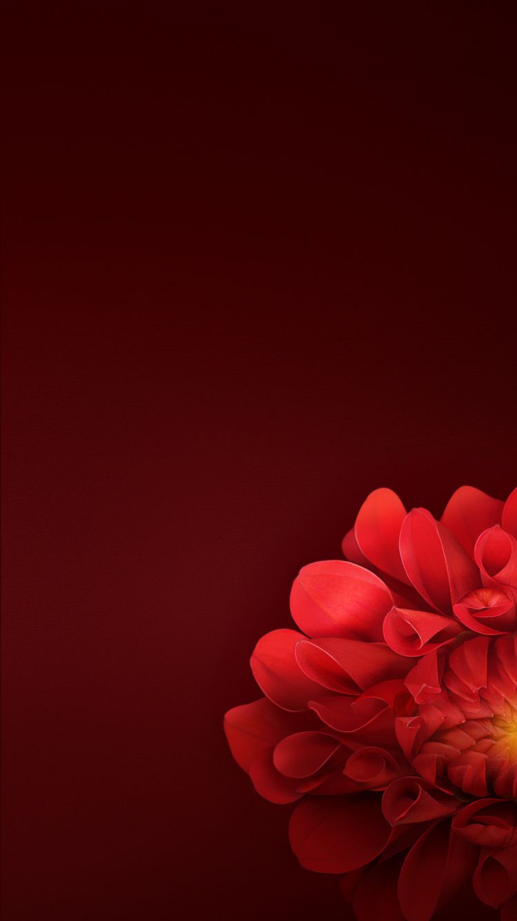 Обои OPPO, Oppo R15, Оппо Ф7, Оппо Рено, андроид в разрешении 750x1334