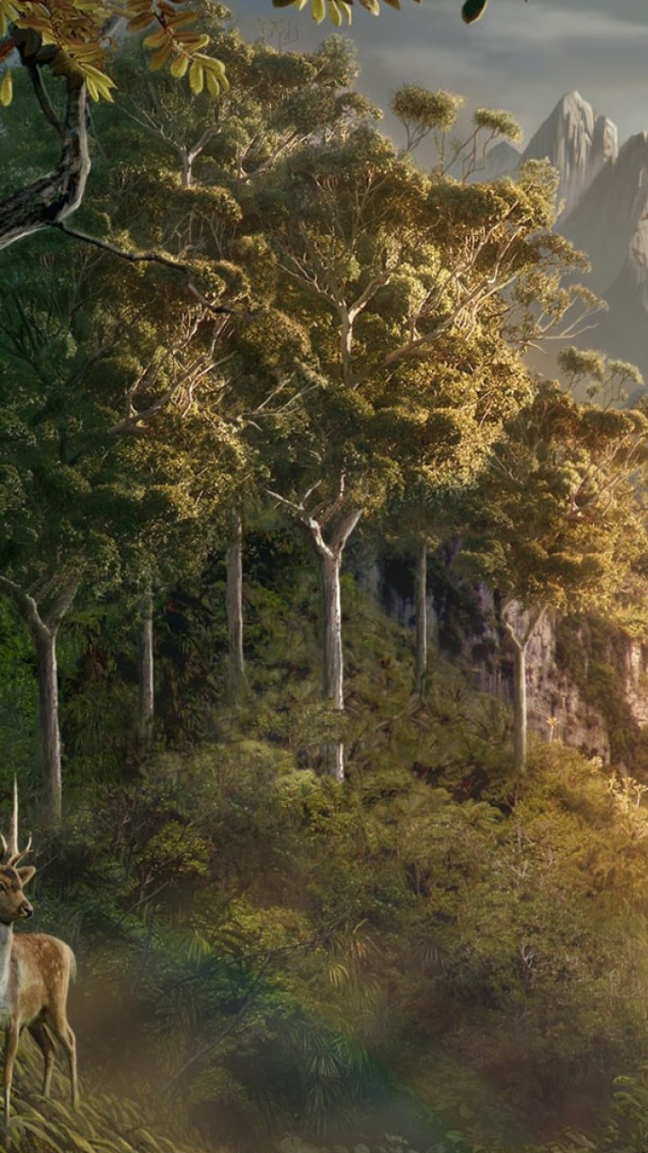 Обои Властелин Колец, Хоббит, природа, растительность, природный заповедник в разрешении 720x1280