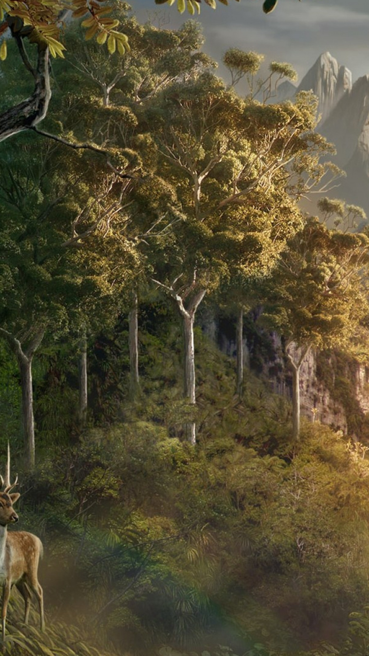 Обои Властелин Колец, Хоббит, природа, растительность, природный заповедник в разрешении 750x1334