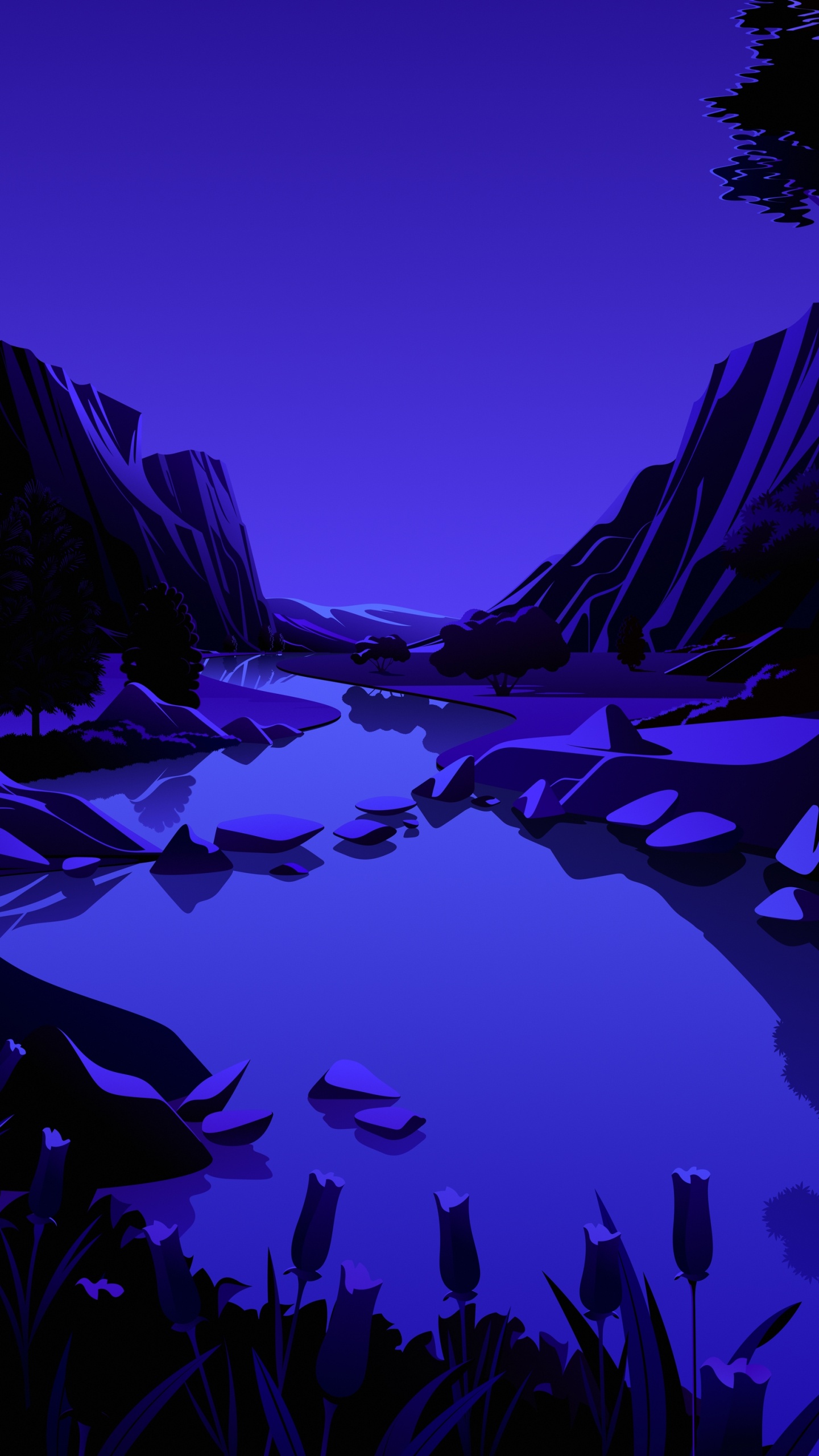 Обои айпад, ipad pro, apple, iPad Air, iOS 14 в разрешении 1440x2560