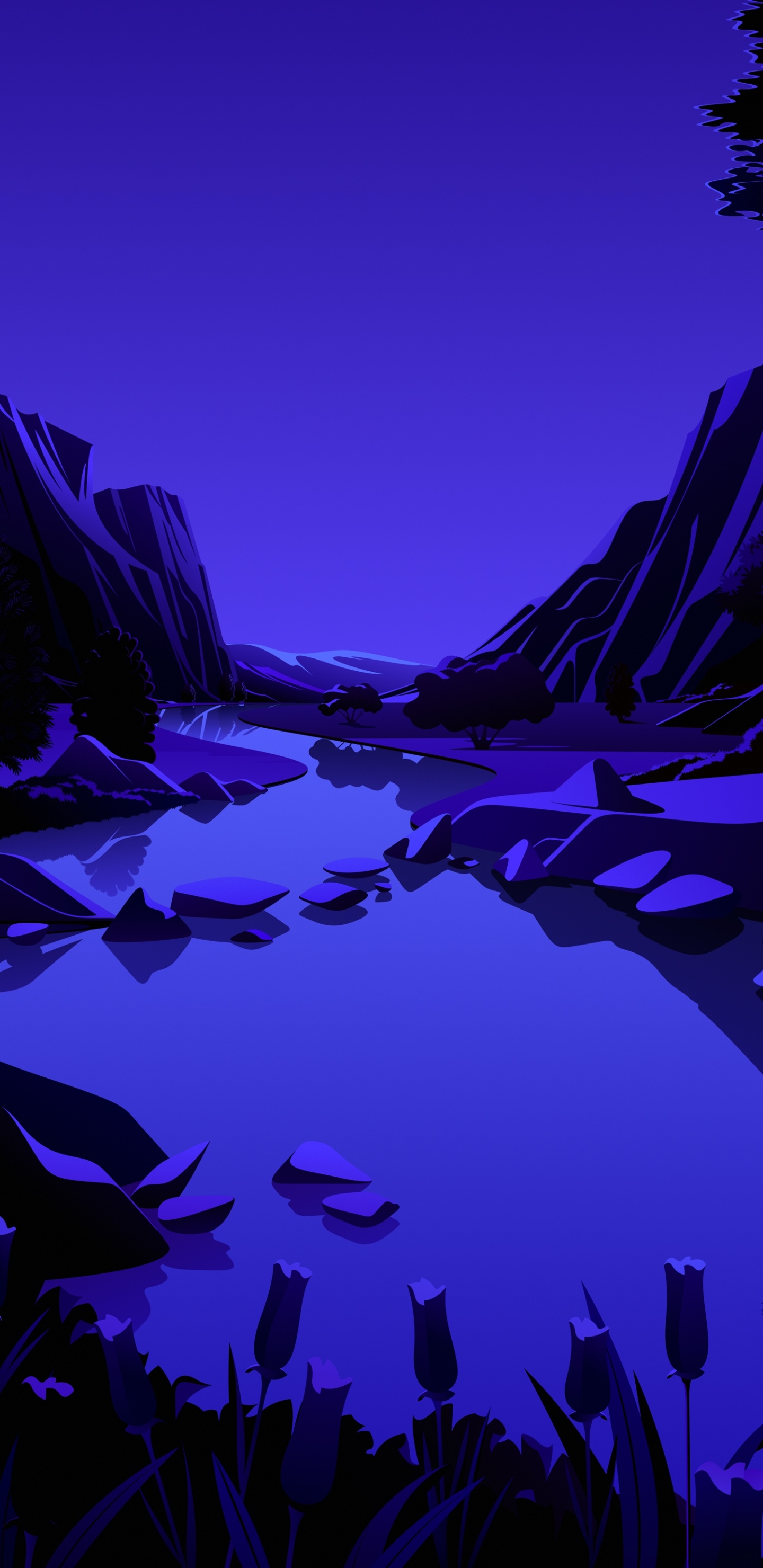 Обои айпад, ipad pro, apple, iPad Air, iOS 14 в разрешении 1440x2960