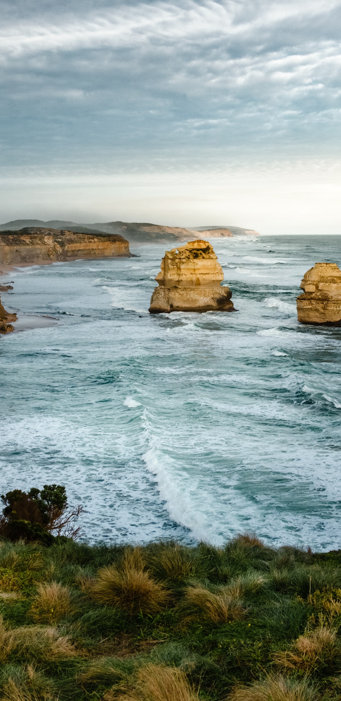 Обои школа полевых исследований в Австралии, австралия, школа полевых исследований, образование, школа в разрешении 1440x2960