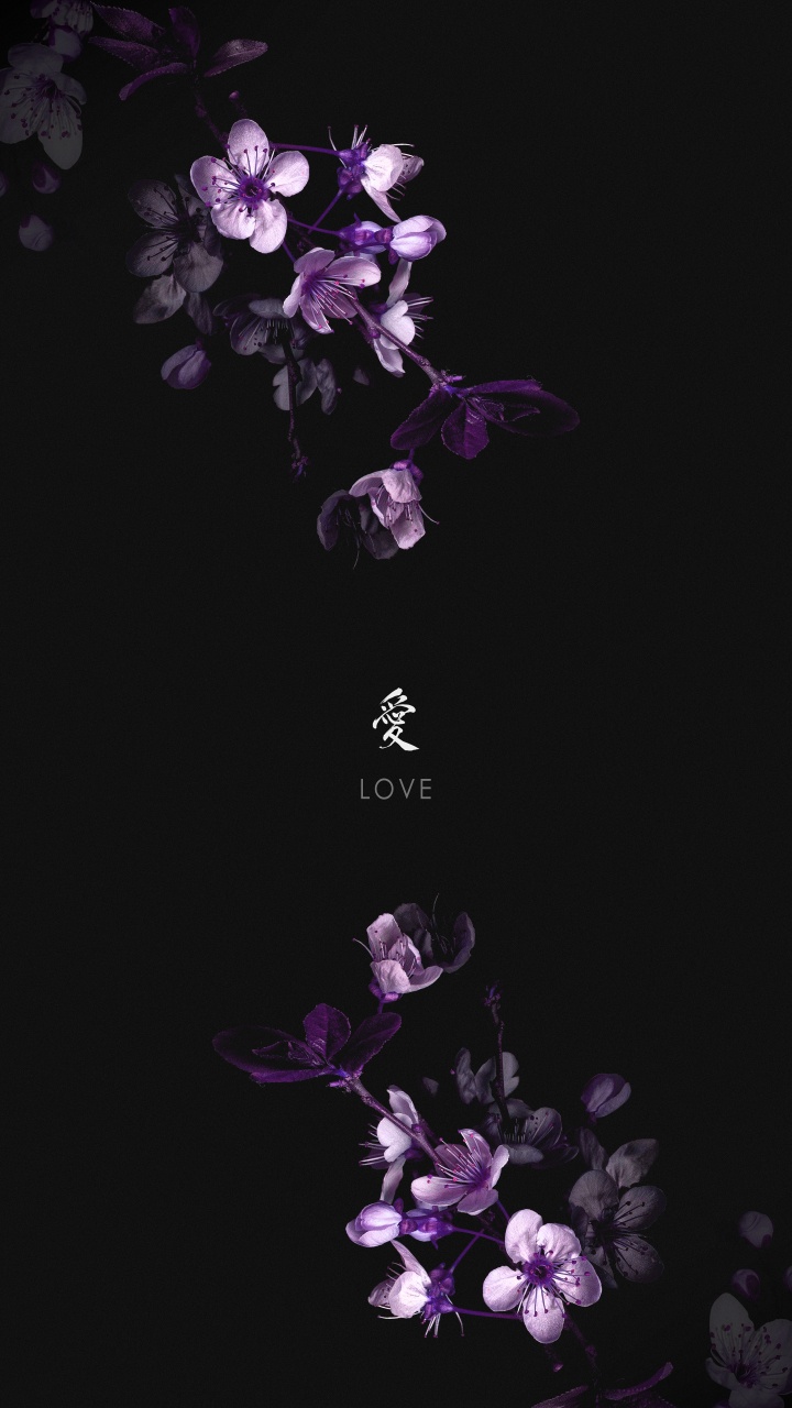 Обои висгун - социальная сеть, цветок, лепесток, пурпур, наземное растение в разрешении 720x1280