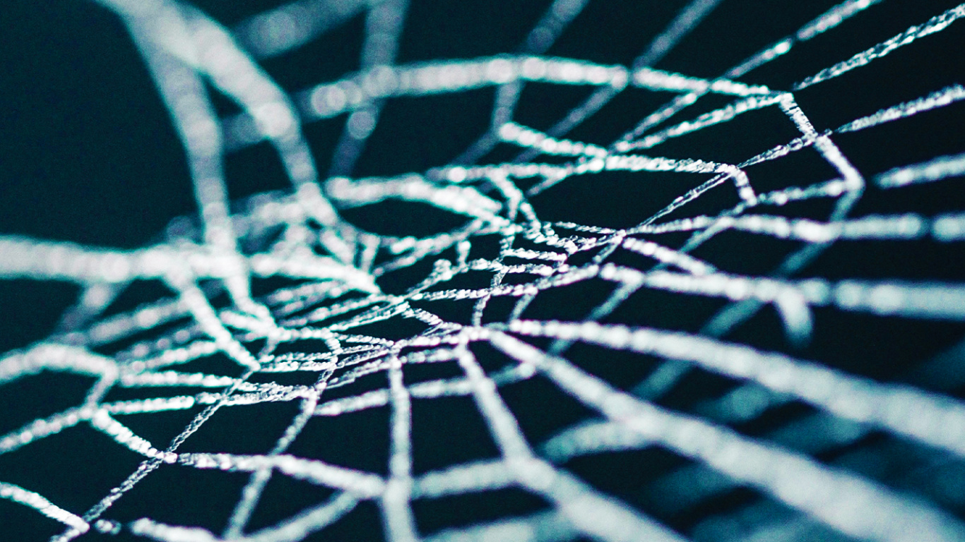 Обои вода, лазурный, наземное растение, натуральный материал, арт в разрешении 1366x768