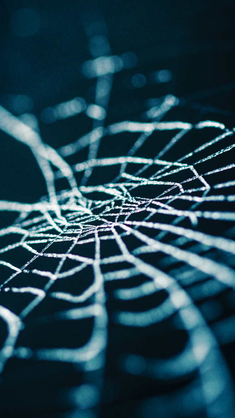 Обои вода, лазурный, наземное растение, натуральный материал, арт в разрешении 750x1334