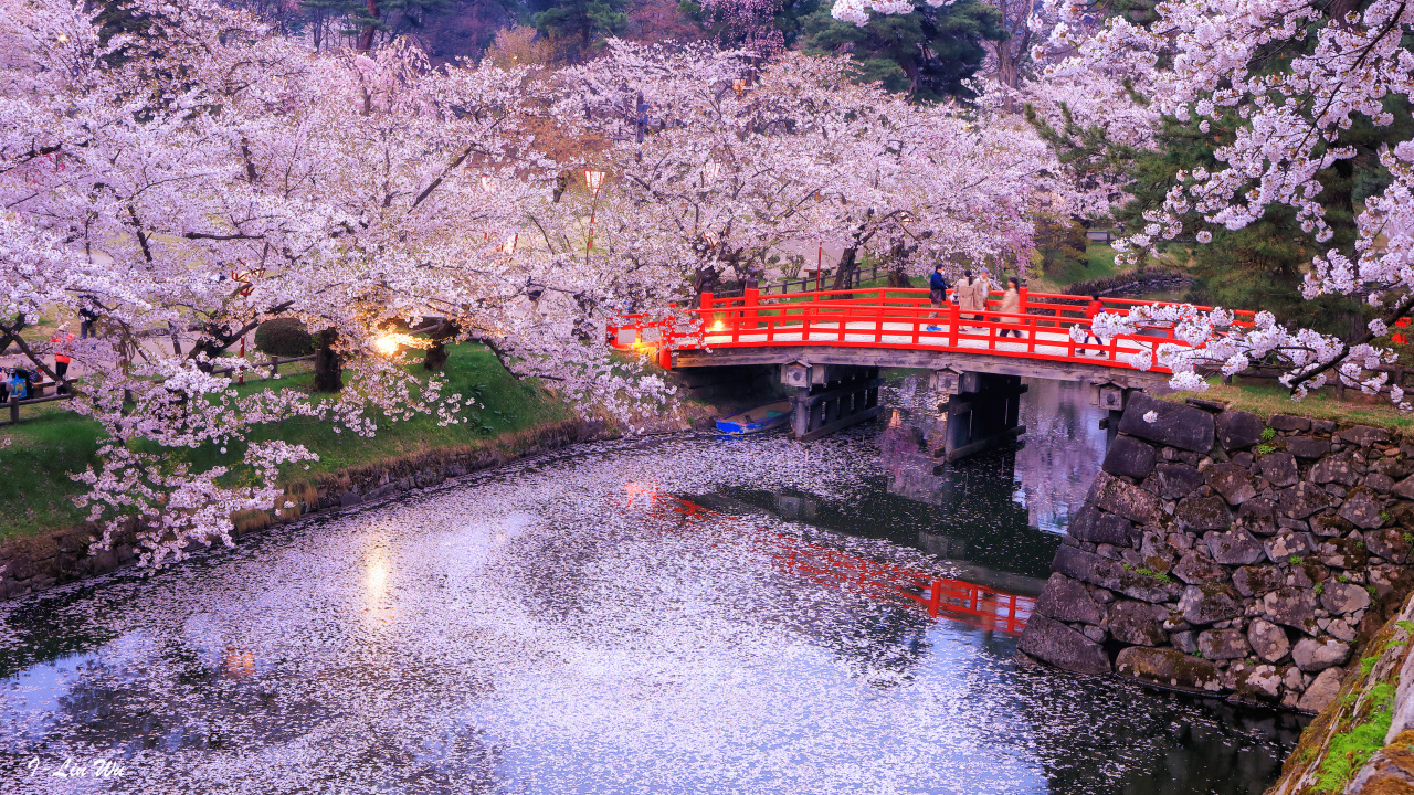 Обои Токио, дерево, пейзаж, город, водоток в разрешении 1280x720