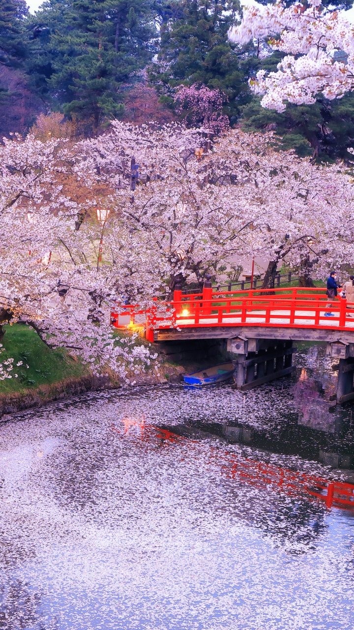 Обои Токио, дерево, пейзаж, город, водоток в разрешении 720x1280