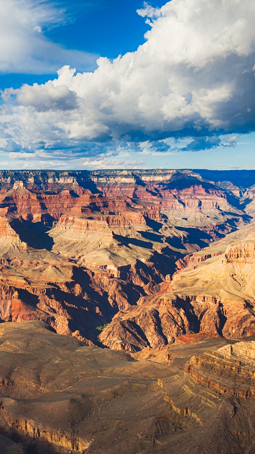 Обои национальный парк Гранд каньон, большой каньон, парк, национальный парк, национальный парк Кингс каньон в разрешении 1080x1920