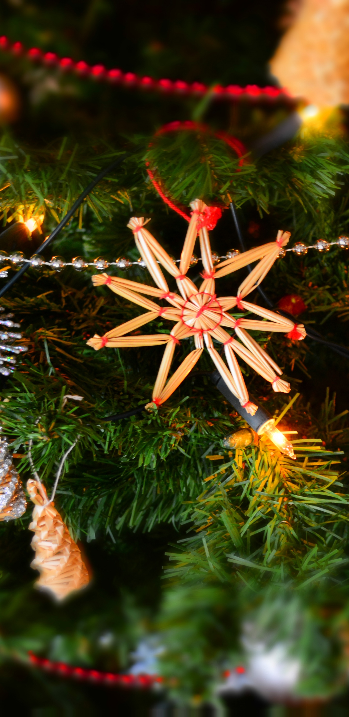 Обои елка, рождественский орнамент, Рождественский день, Рождественские украшения, праздник в разрешении 1440x2960