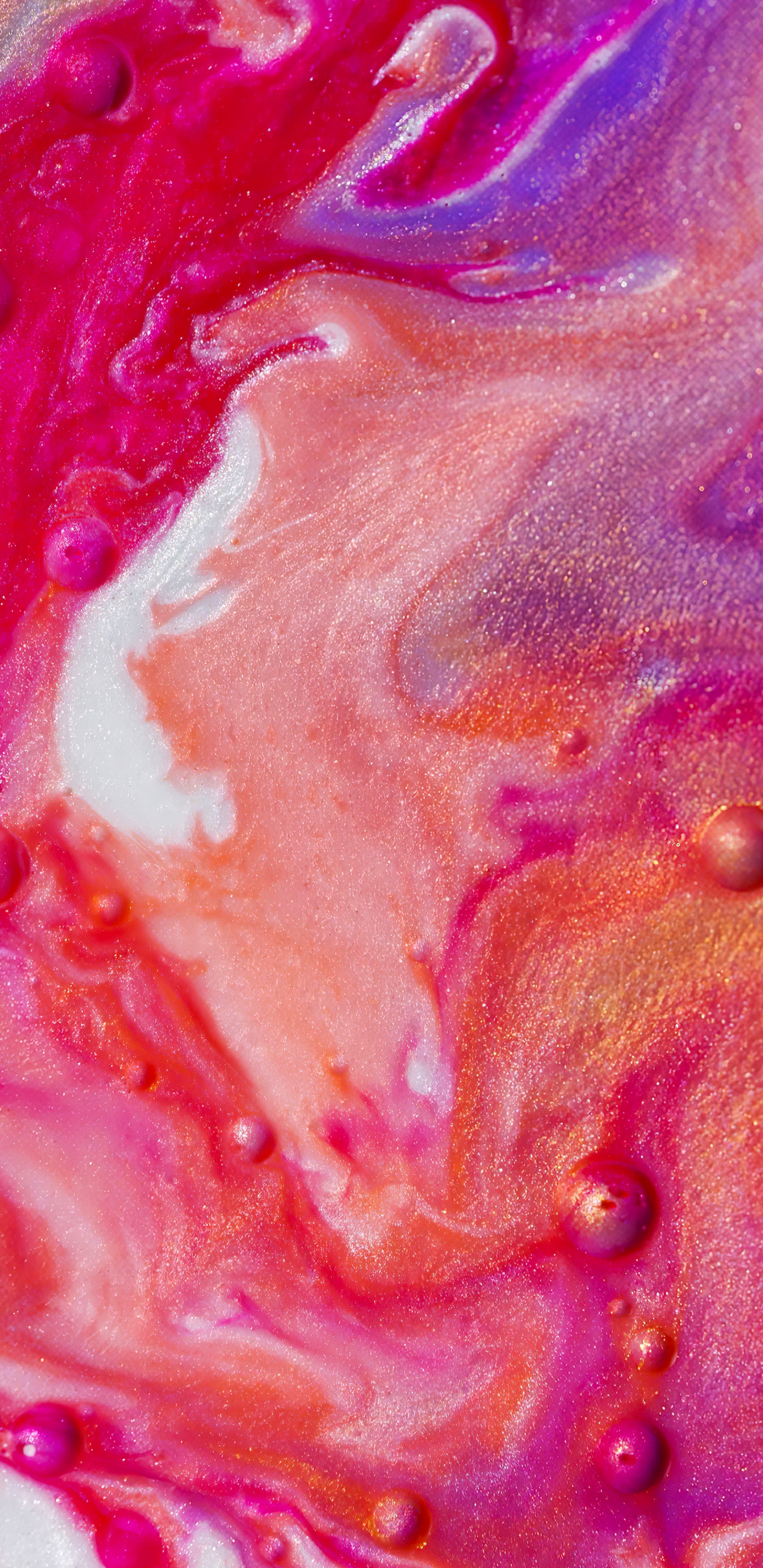 Обои крупный план, натюрморт, красный цвет, розовый, Оранжевый цвет в разрешении 1440x2960