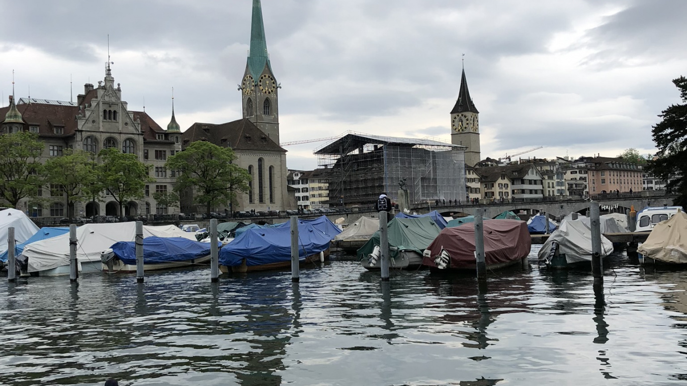 Обои мошенник, вода, Дикая утка, Гусь, реки в разрешении 1366x768