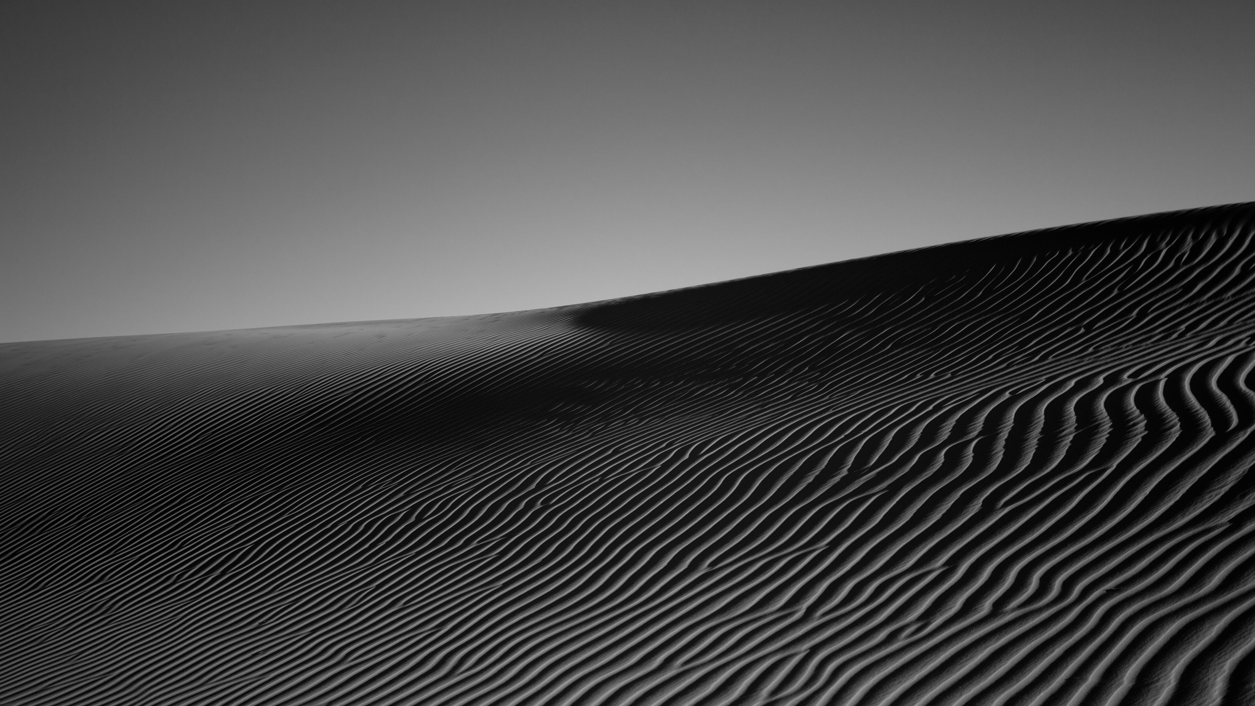 Обои монохромный, черный и белый, черный, Дюна, линия в разрешении 2560x1440