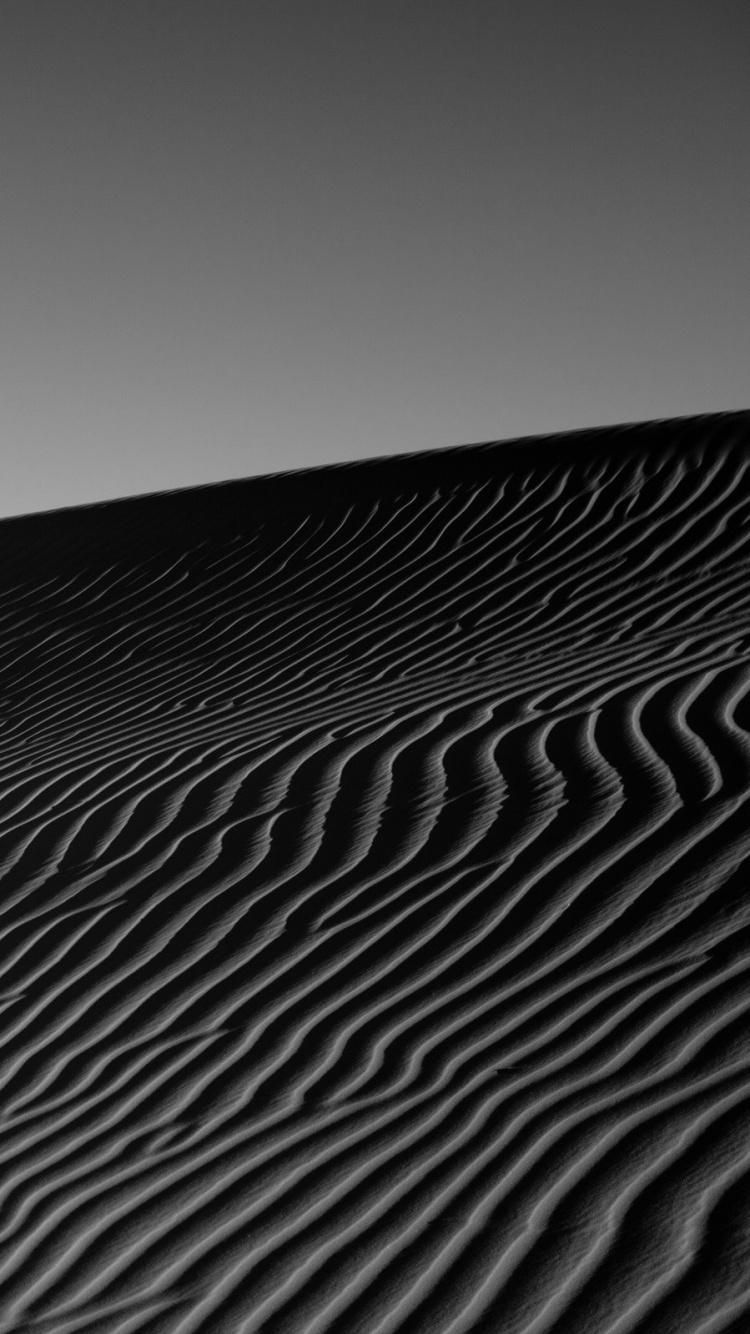 Обои монохромный, черный и белый, черный, Дюна, линия в разрешении 750x1334