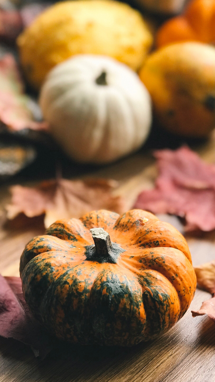 Обои благодарность благодарность, тыква, праздник, пища, тыквенных в разрешении 750x1334