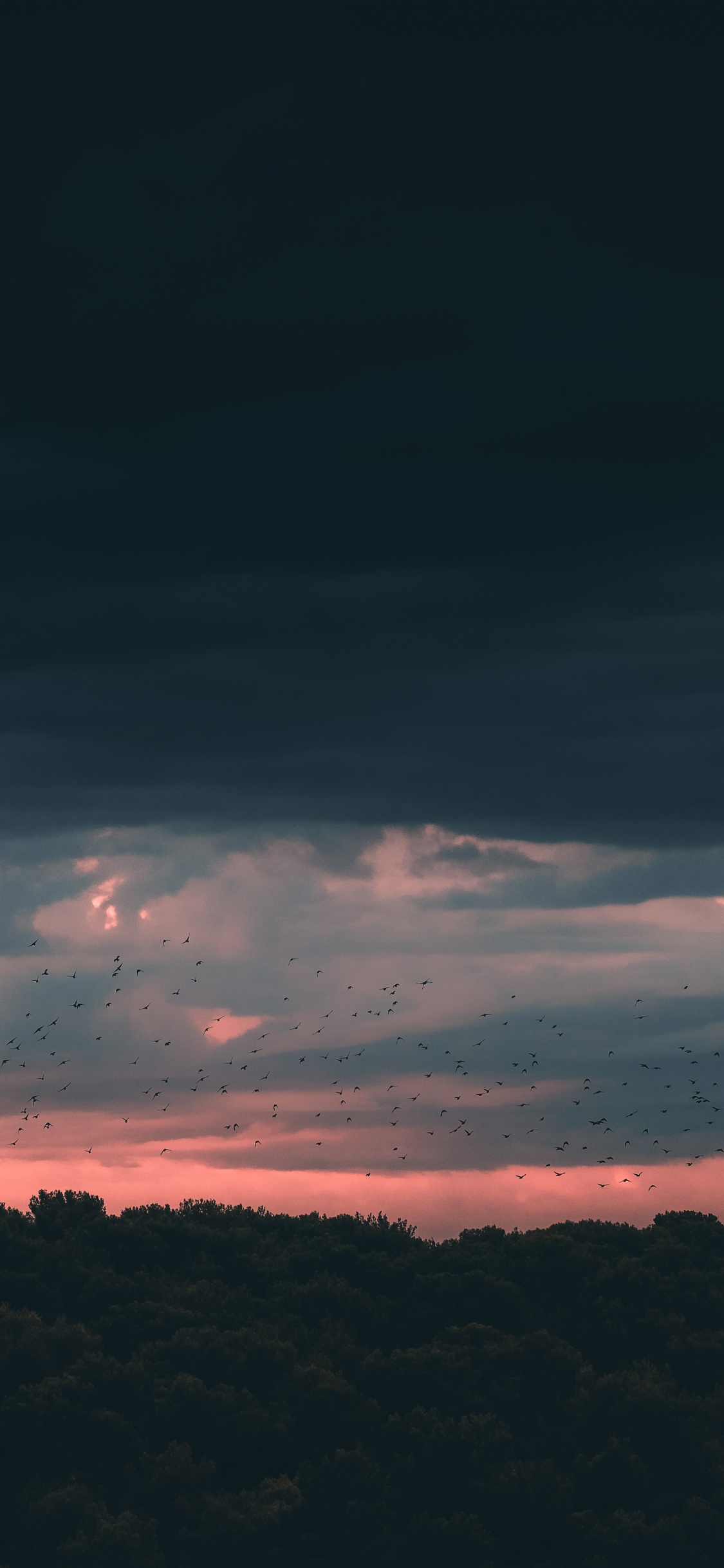 Обои закат, облако, горизонт, синий, атмосфера в разрешении 1125x2436