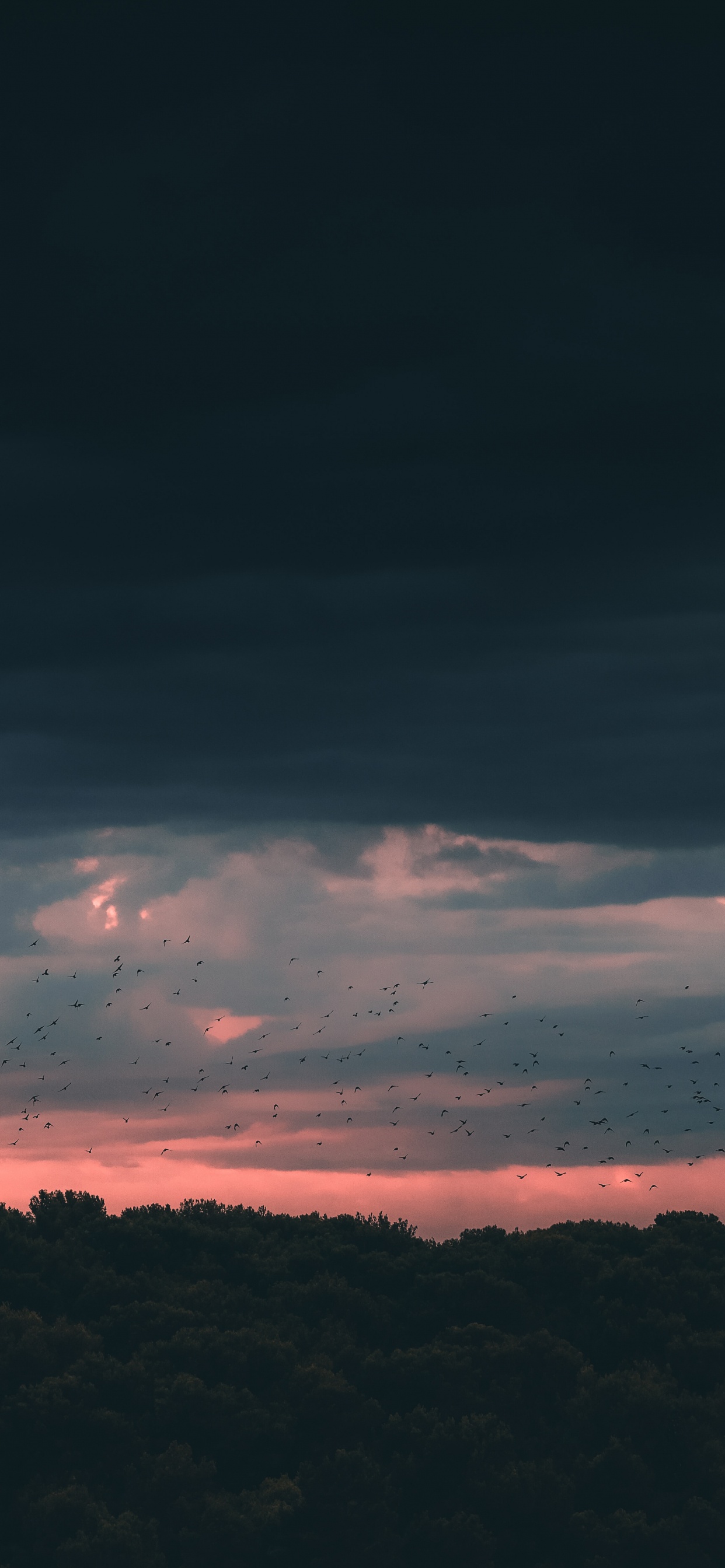 Обои закат, облако, горизонт, синий, атмосфера в разрешении 1242x2688