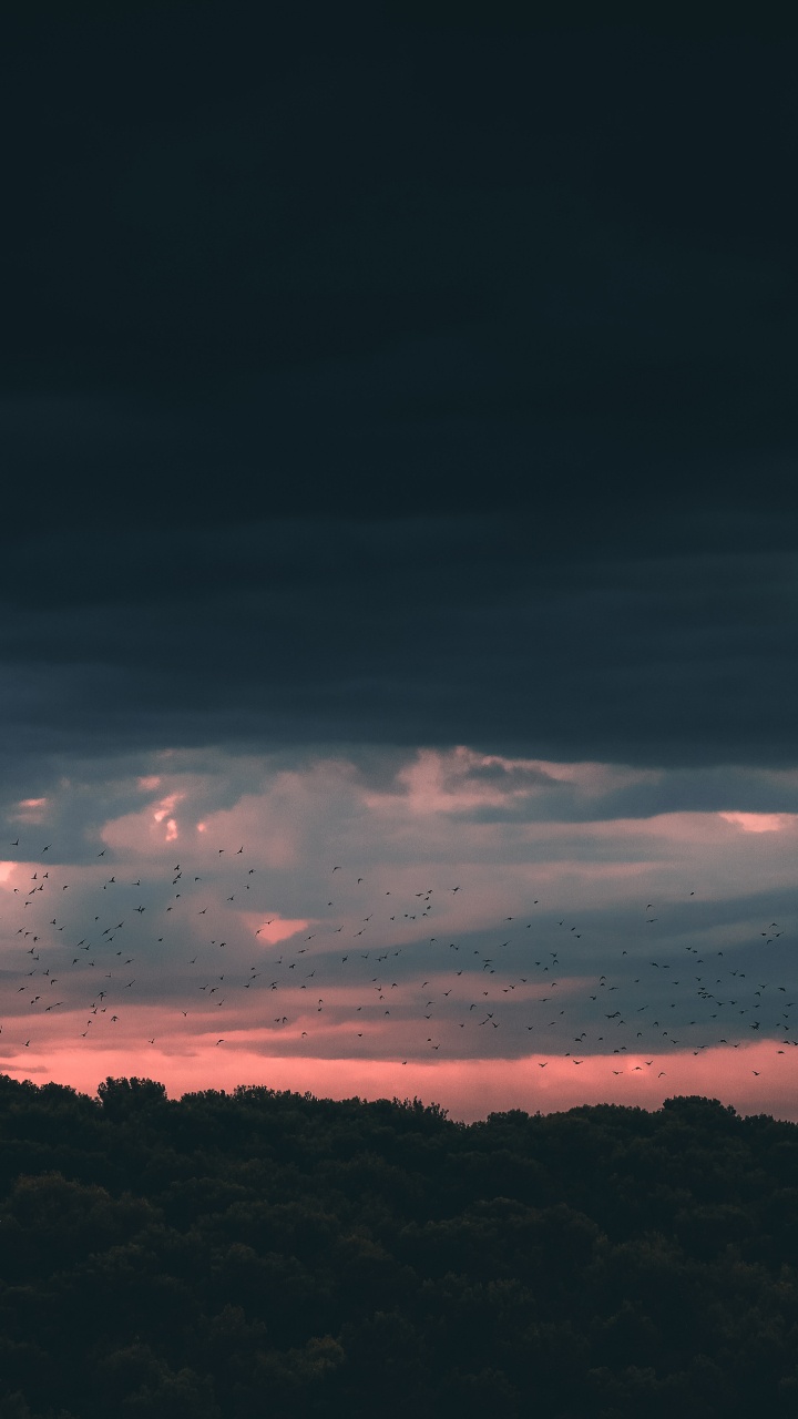 Обои закат, облако, горизонт, синий, атмосфера в разрешении 720x1280