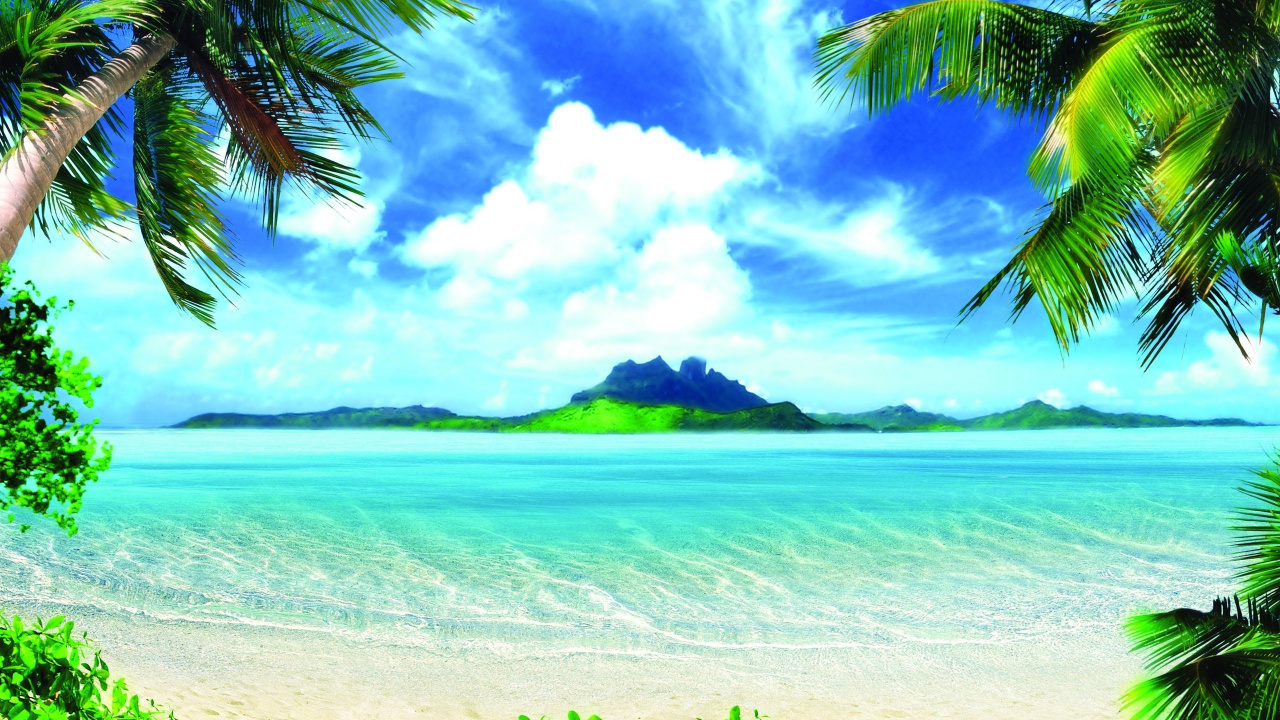 Обои отпуск, летние каникулы, природа, тропическая зона, Пальма в разрешении 1280x720