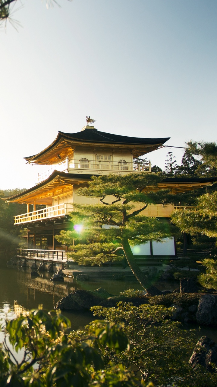 Обои храм, природа, отражение, утро, солнечный свет в разрешении 720x1280