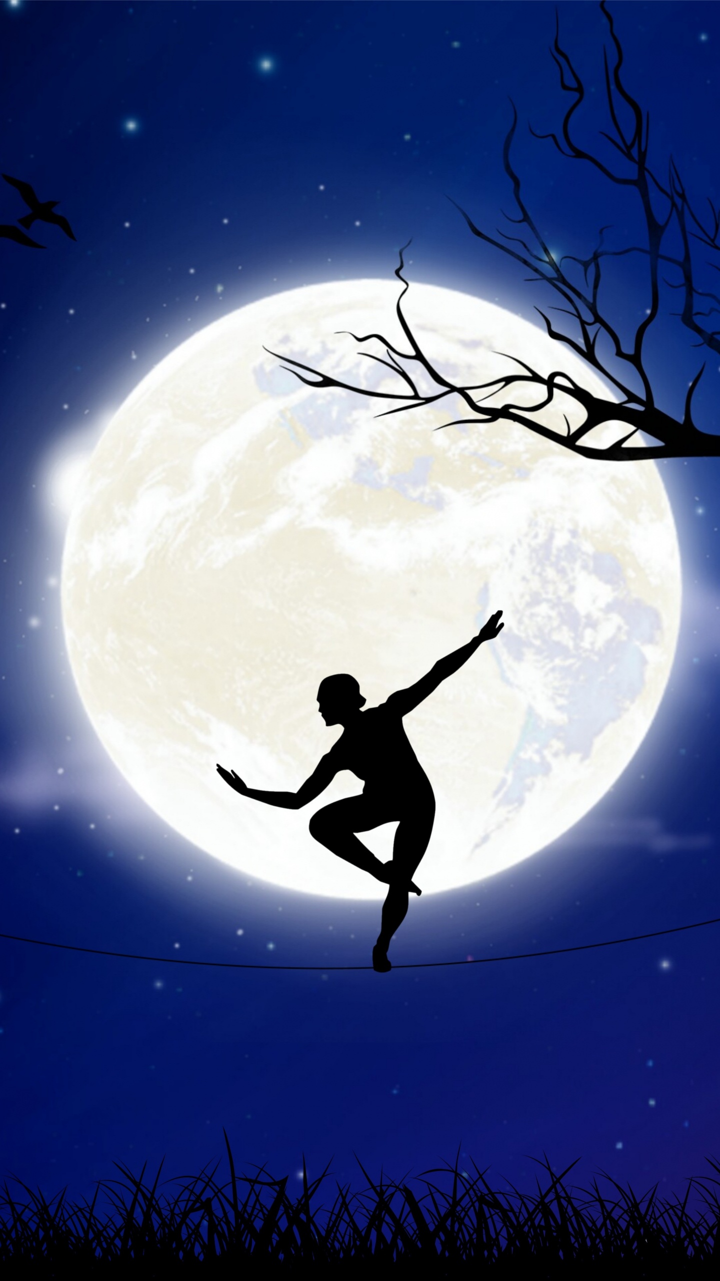 Обои лунный свет, небесное явление, космос, астрономический объект, ночь в разрешении 1440x2560