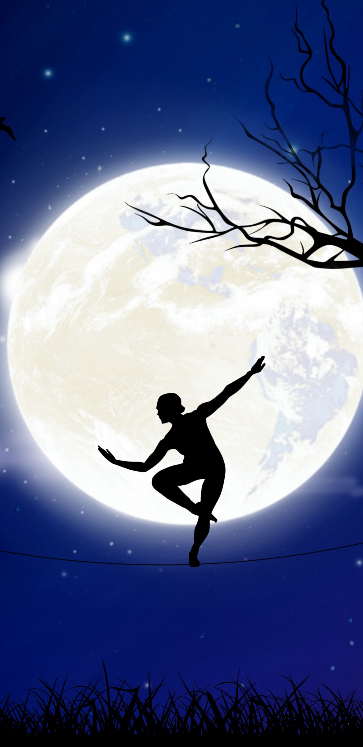 Обои лунный свет, небесное явление, космос, астрономический объект, ночь в разрешении 1440x2960