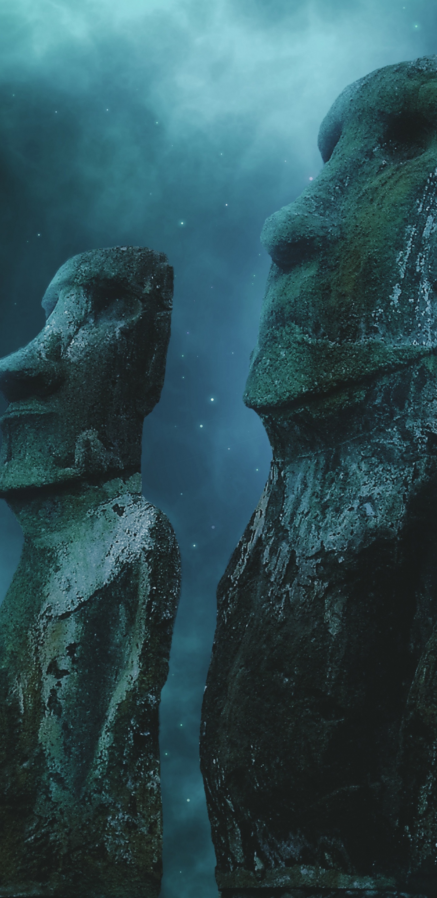 Обои Linux rebornos, дистрибутив Linux, linux, установка, Операционная система в разрешении 1440x2960