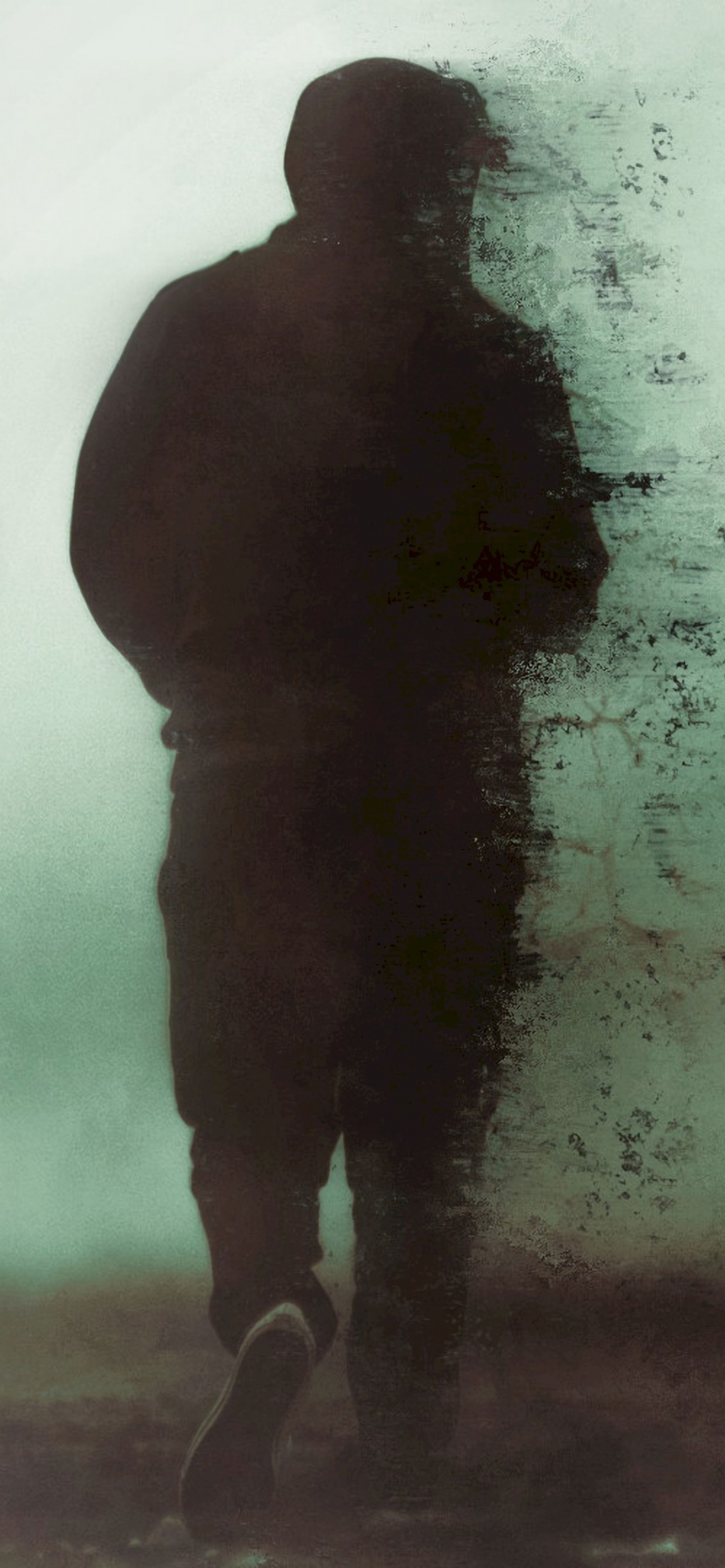 Обои силуэт, стояние, вода, туман, человек в разрешении 1242x2688