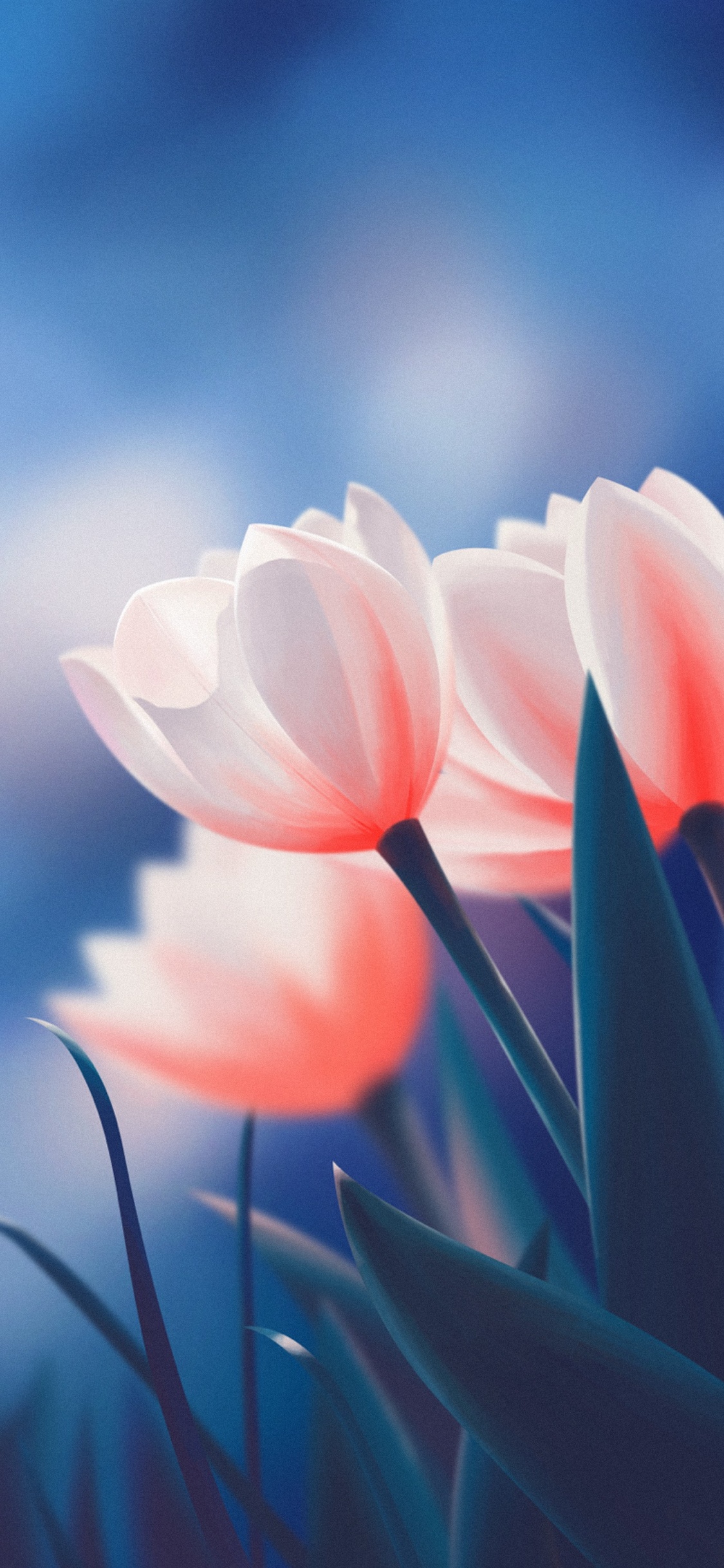 Обои цветок, облако, растение, атмосфера, Лотос в разрешении 1125x2436