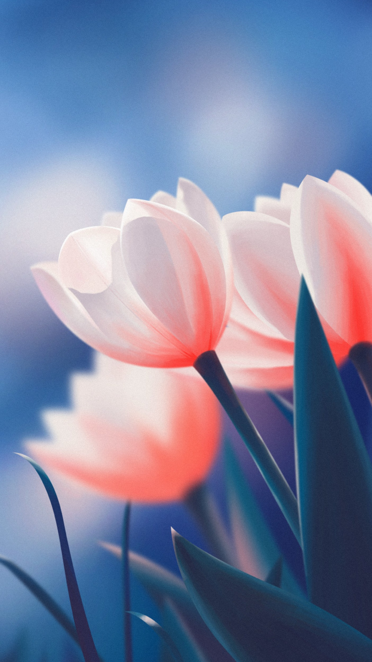 Обои цветок, облако, растение, атмосфера, Лотос в разрешении 750x1334