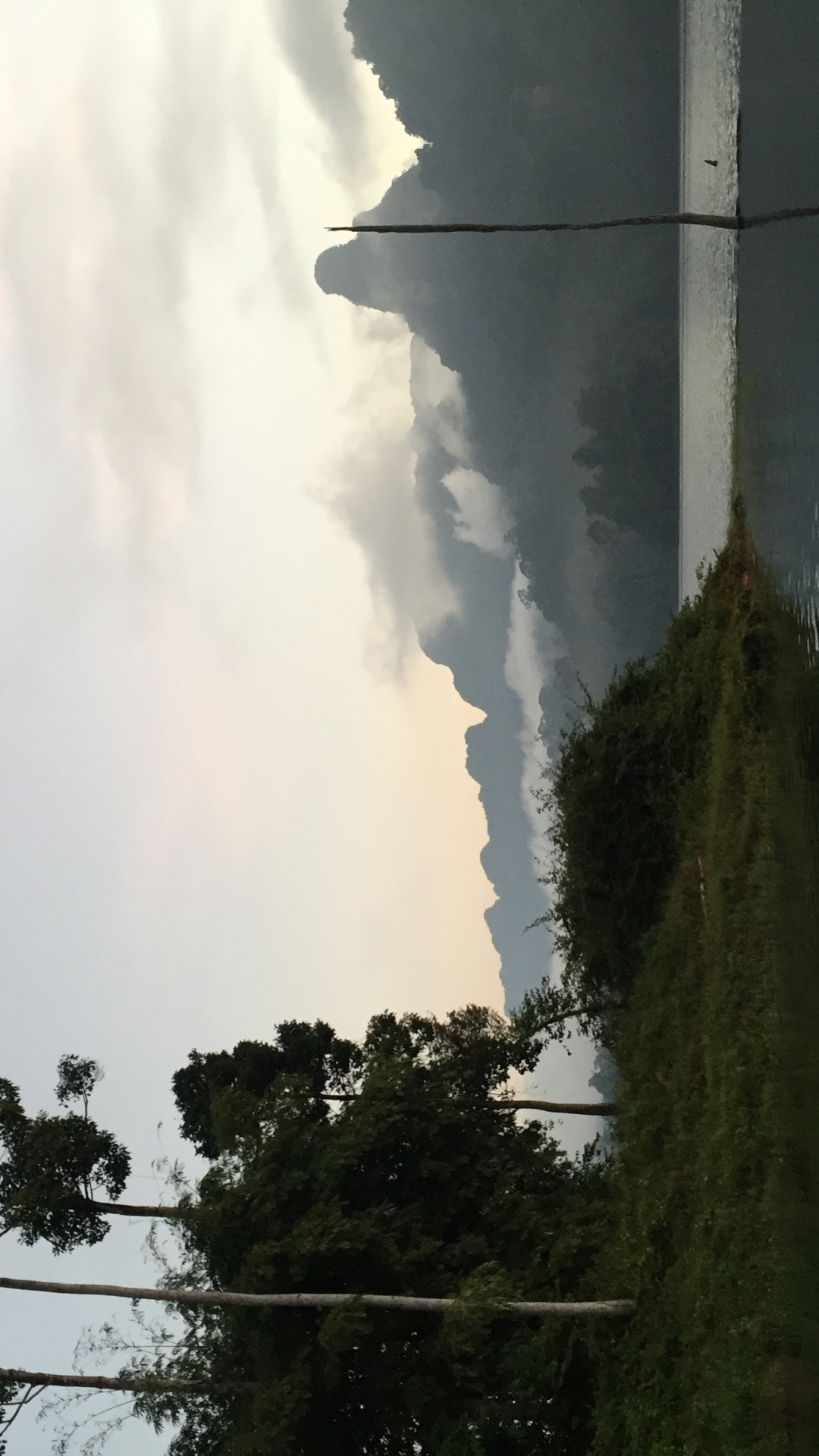 Обои природа, дневное время, атмосфера, древесные растения, мир в разрешении 1080x1920