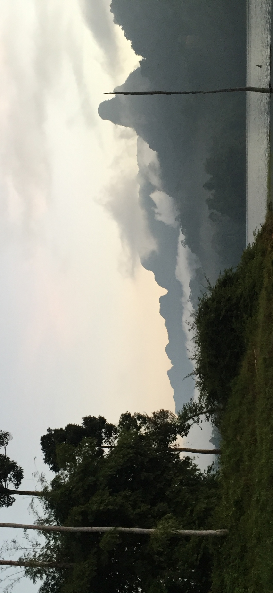 Обои природа, дневное время, атмосфера, древесные растения, мир в разрешении 1125x2436