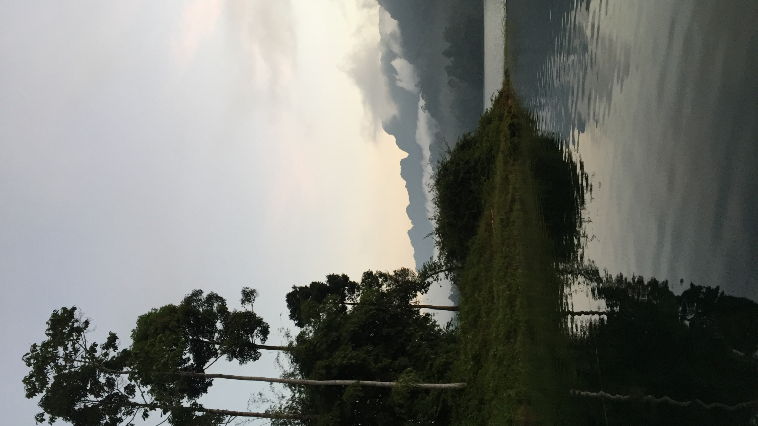 Обои природа, дневное время, атмосфера, древесные растения, мир в разрешении 2560x1440