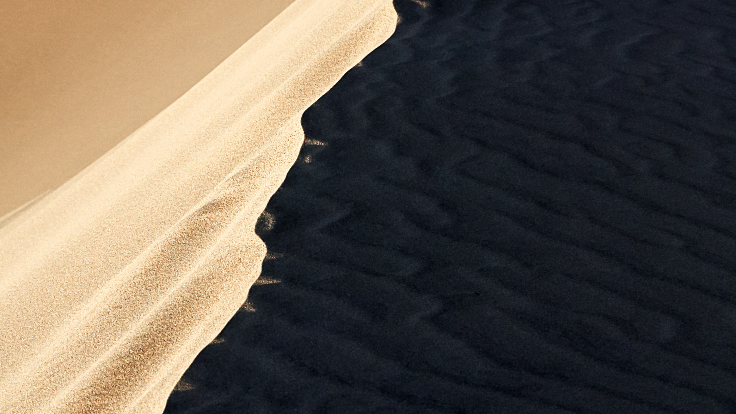 Обои песок, Дюна, макарон, вода, древесина в разрешении 2560x1440