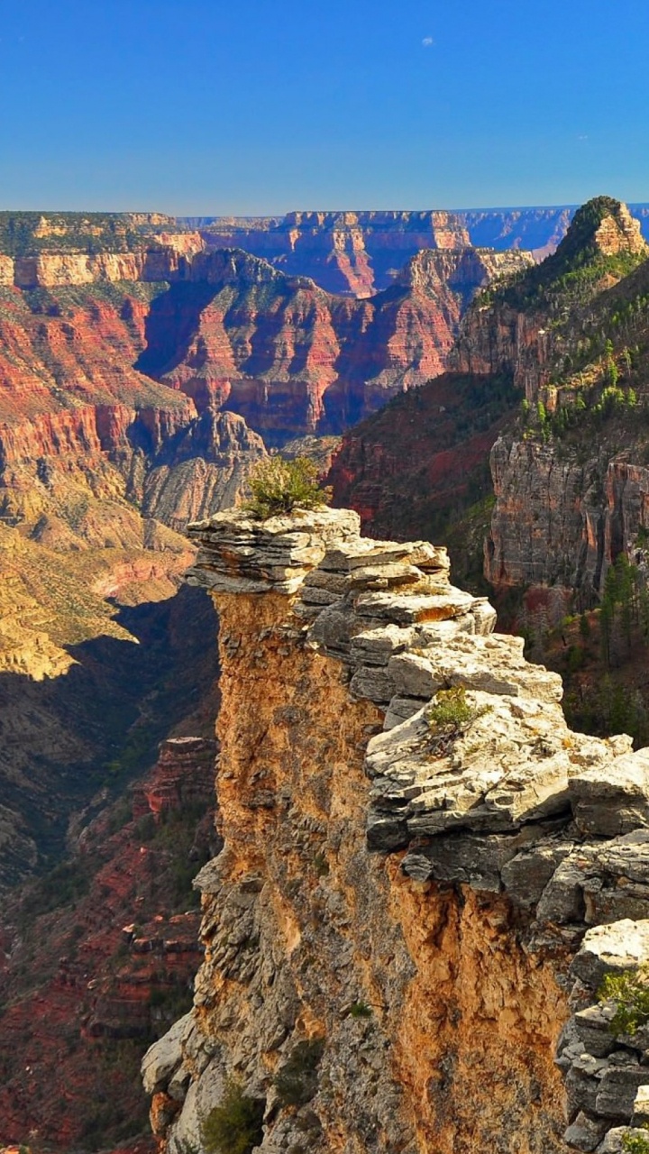 Обои Widforss След, Трансепт След, национальный парк, каньон, природа в разрешении 720x1280